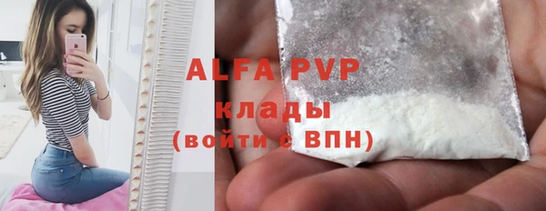 прущие грибы Беломорск