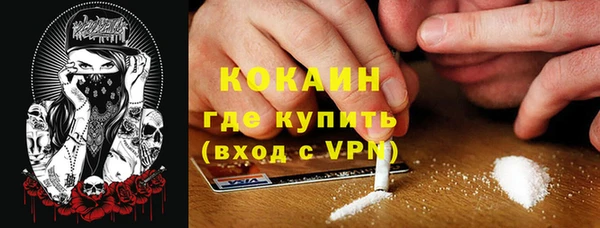 PSILOCYBIN Богородицк