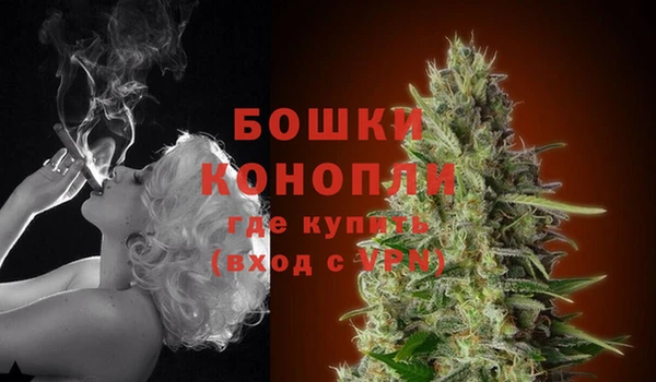 дурь Белоозёрский