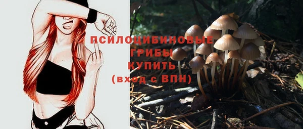 героин Богданович