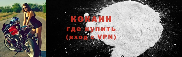 прущие грибы Беломорск