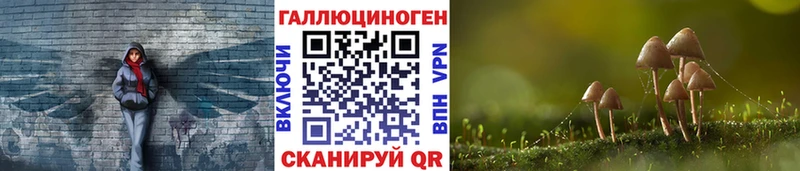 Псилоцибиновые грибы Psilocybe  Йошкар-Ола 